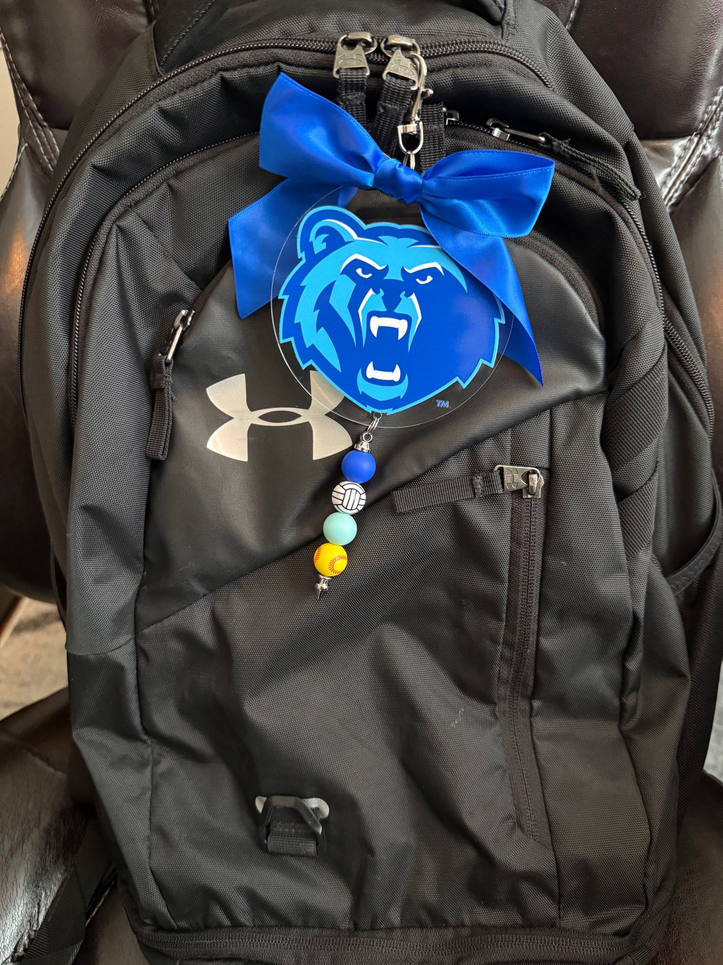 Berlin Bears Luggage & Bag Tag