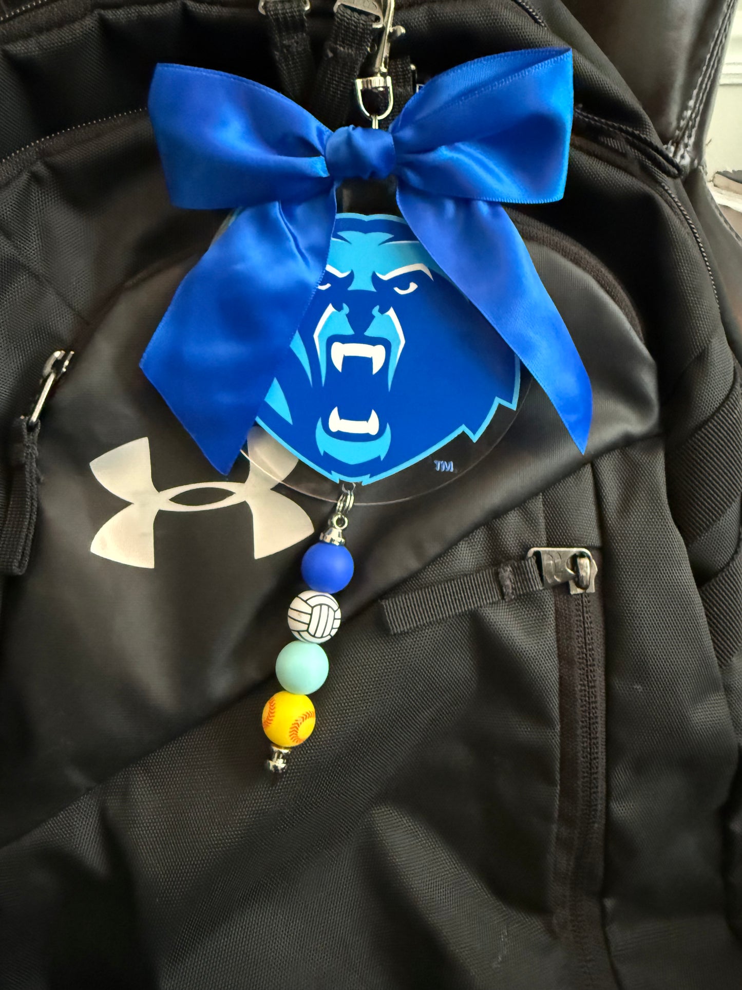 Berlin Bears Luggage & Bag Tag