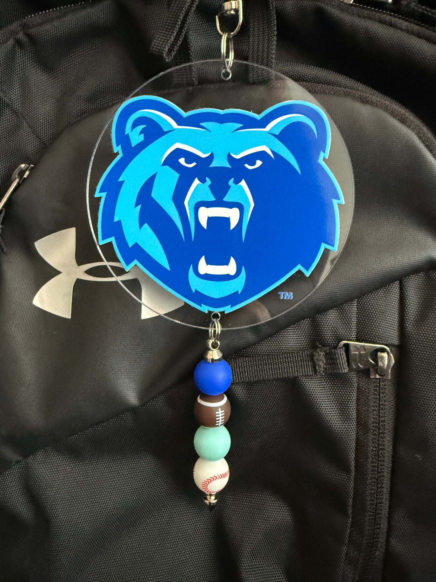 Berlin Bears Luggage & Bag Tag