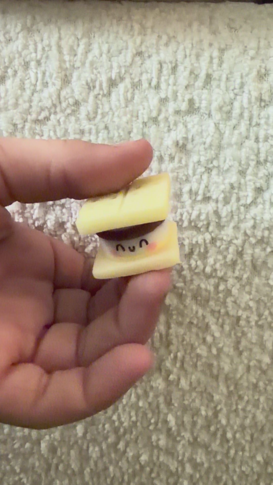 S'more Squishy Appreciation Gift